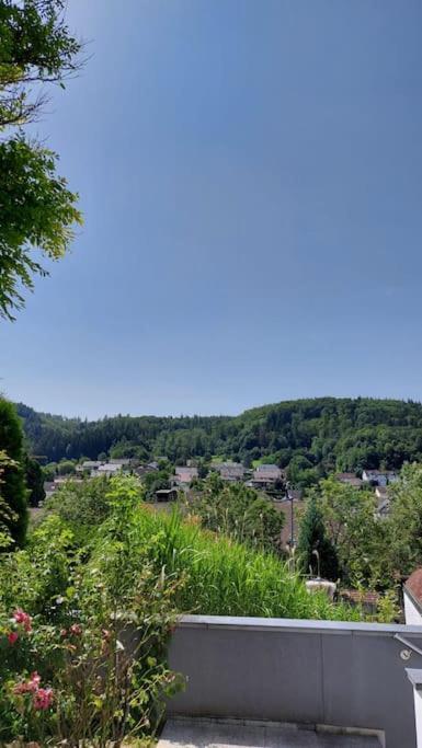 Apartment Talblick Kandern Kültér fotó